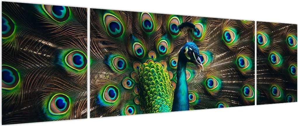 Obraz – Paw (170x50 cm)