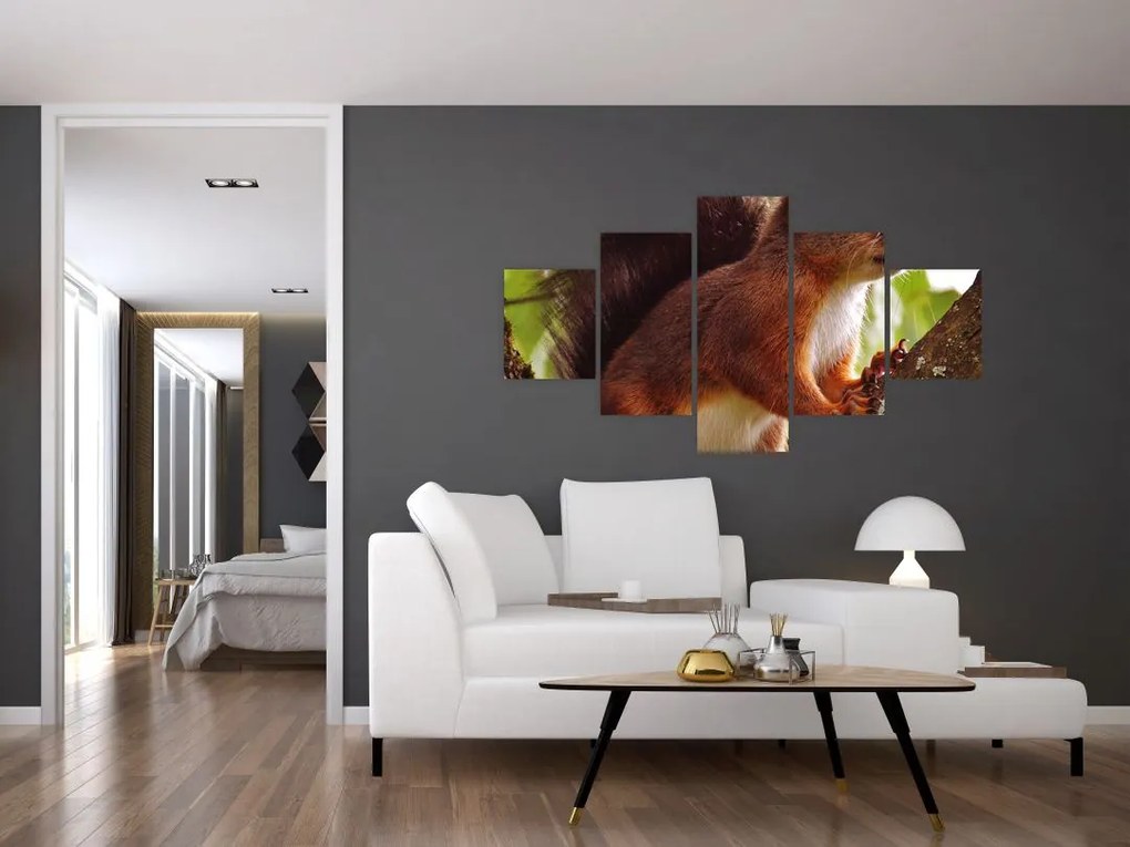 Obraz wiewiórki (125x70 cm)