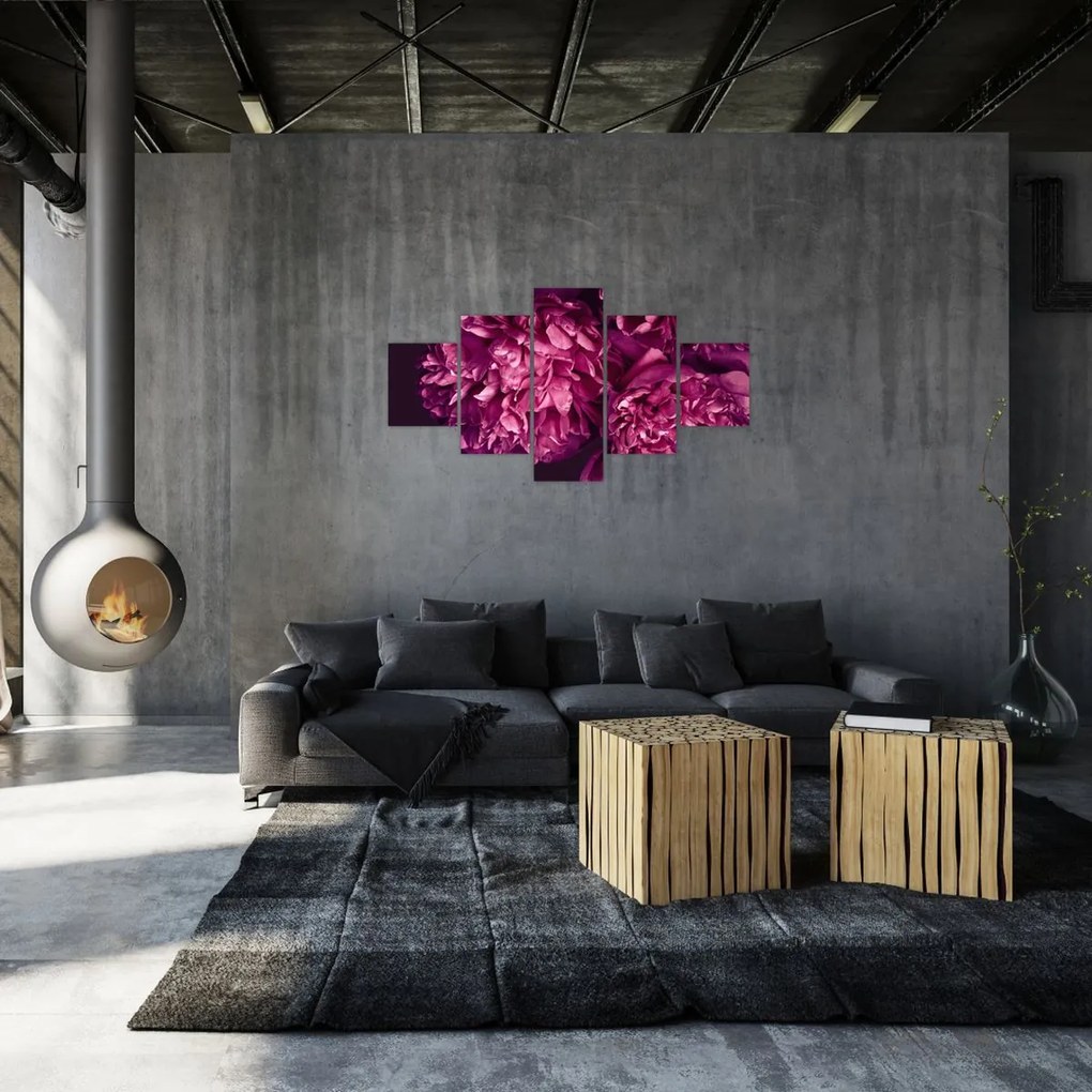 Obraz - Kwiaty piwonii (125x70 cm)
