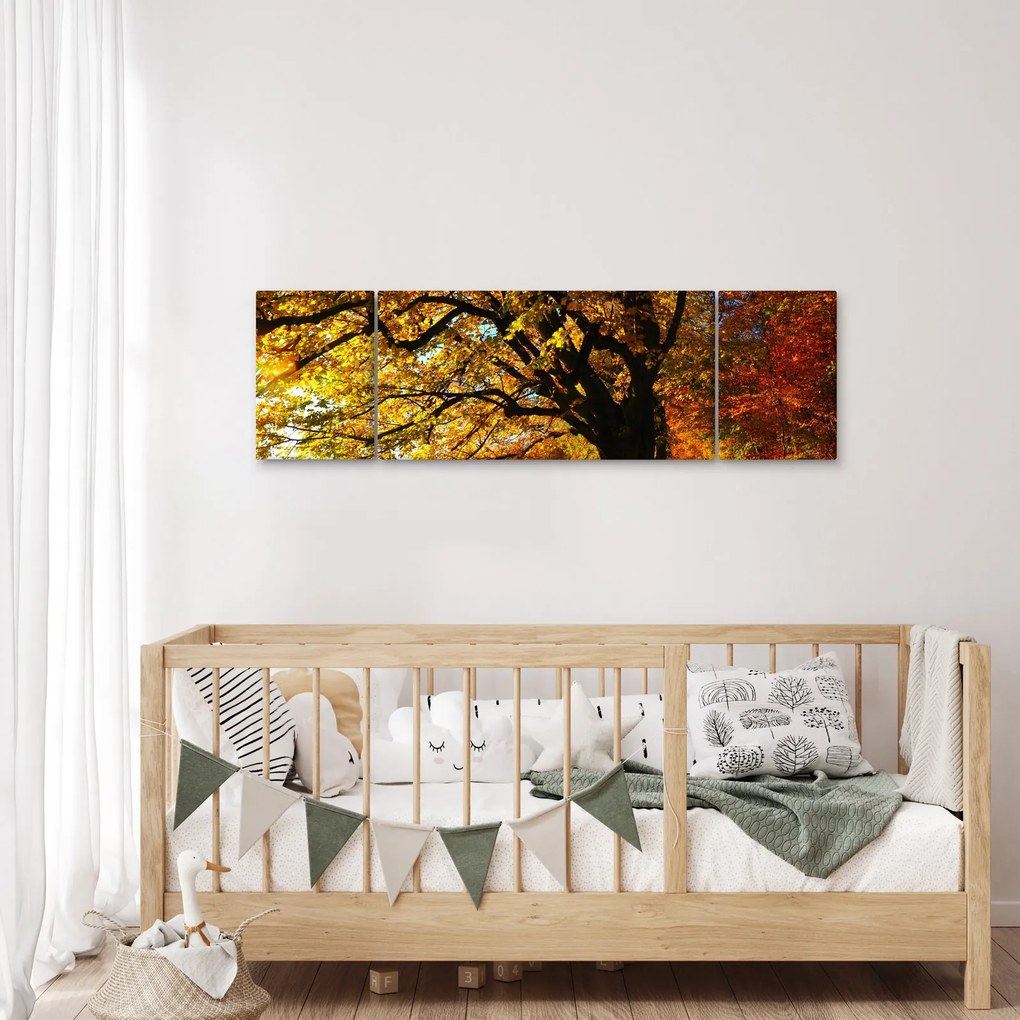 Obraz jesieni (170x50 cm)