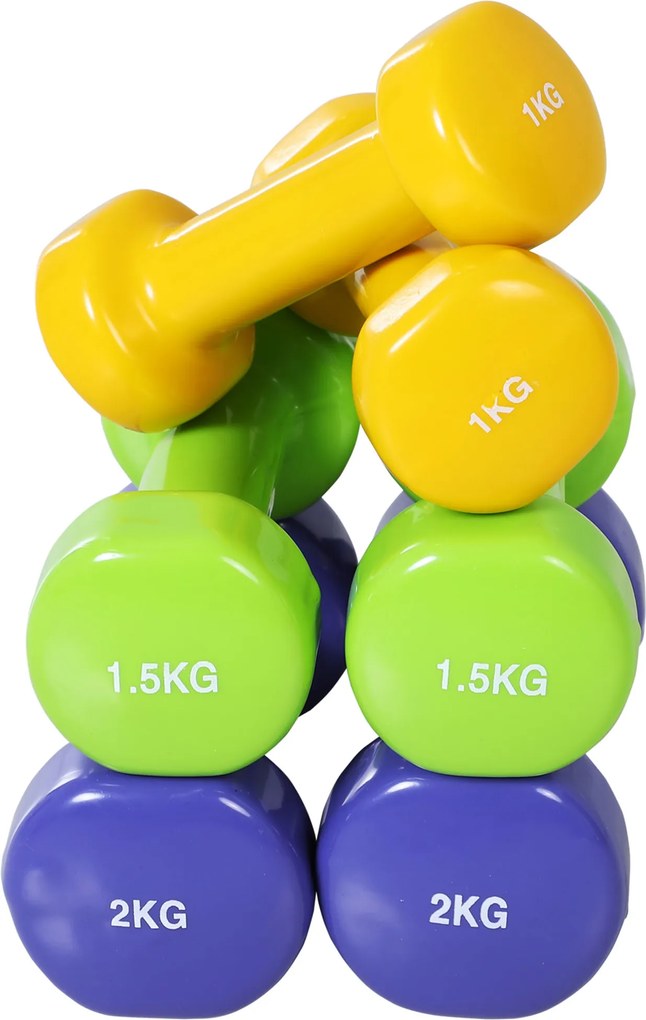 Zestaw hantli Homcom Zestaw hantli z etui przenośne 0,5 kg/1 kg/1,5 kg/2 kg