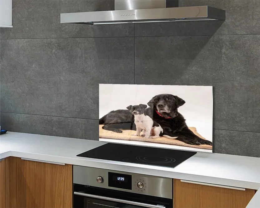 Szklany Panel Odpoczywająca Para Psów