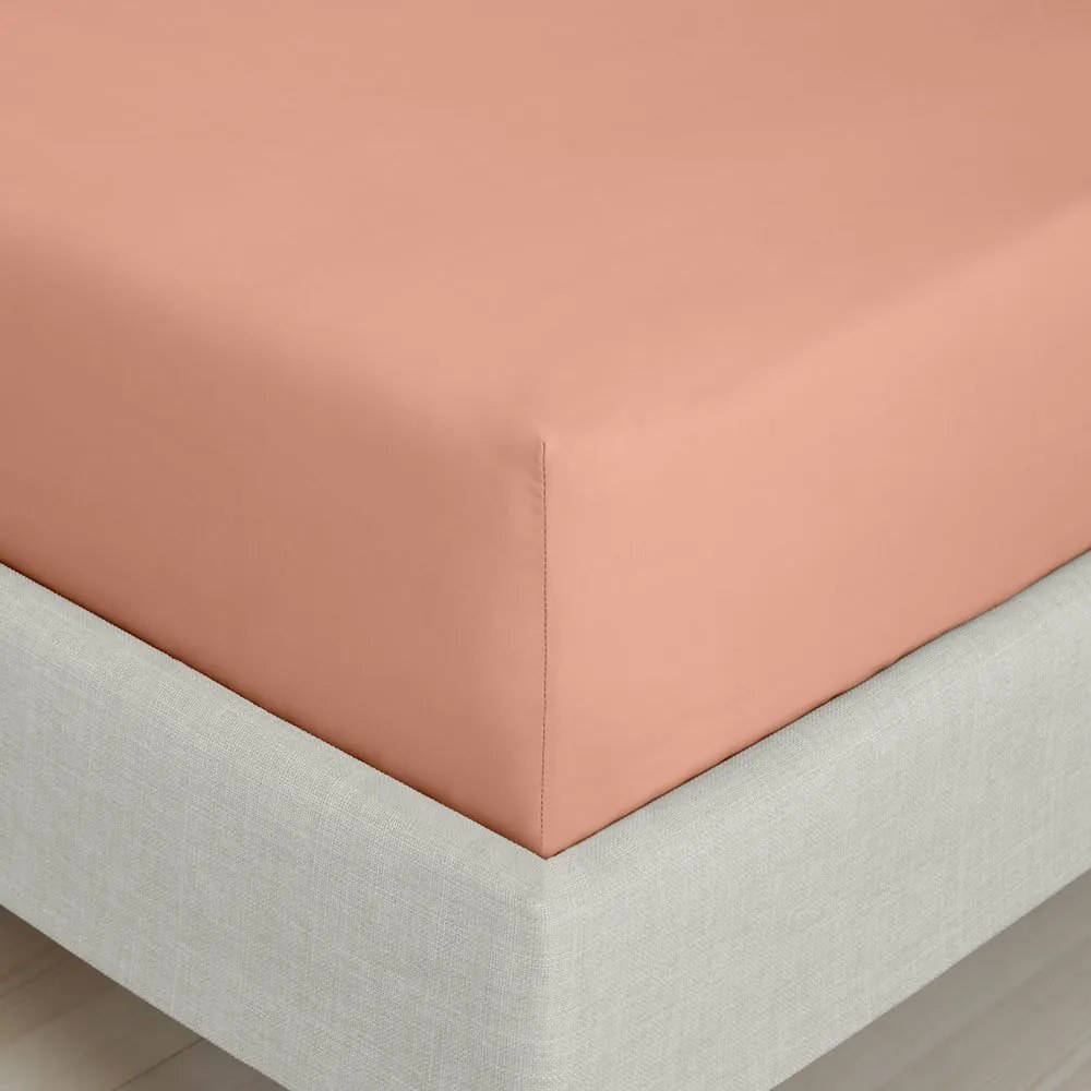 Prześcieradło z perkalu bawełnianego z gumką w kolorze terakoty 185x200 cm Cotton Percale – Bianca