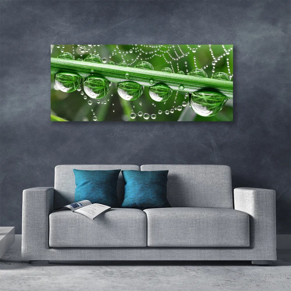 Obraz na płótnie Perlista Pajęczyna w Rosie