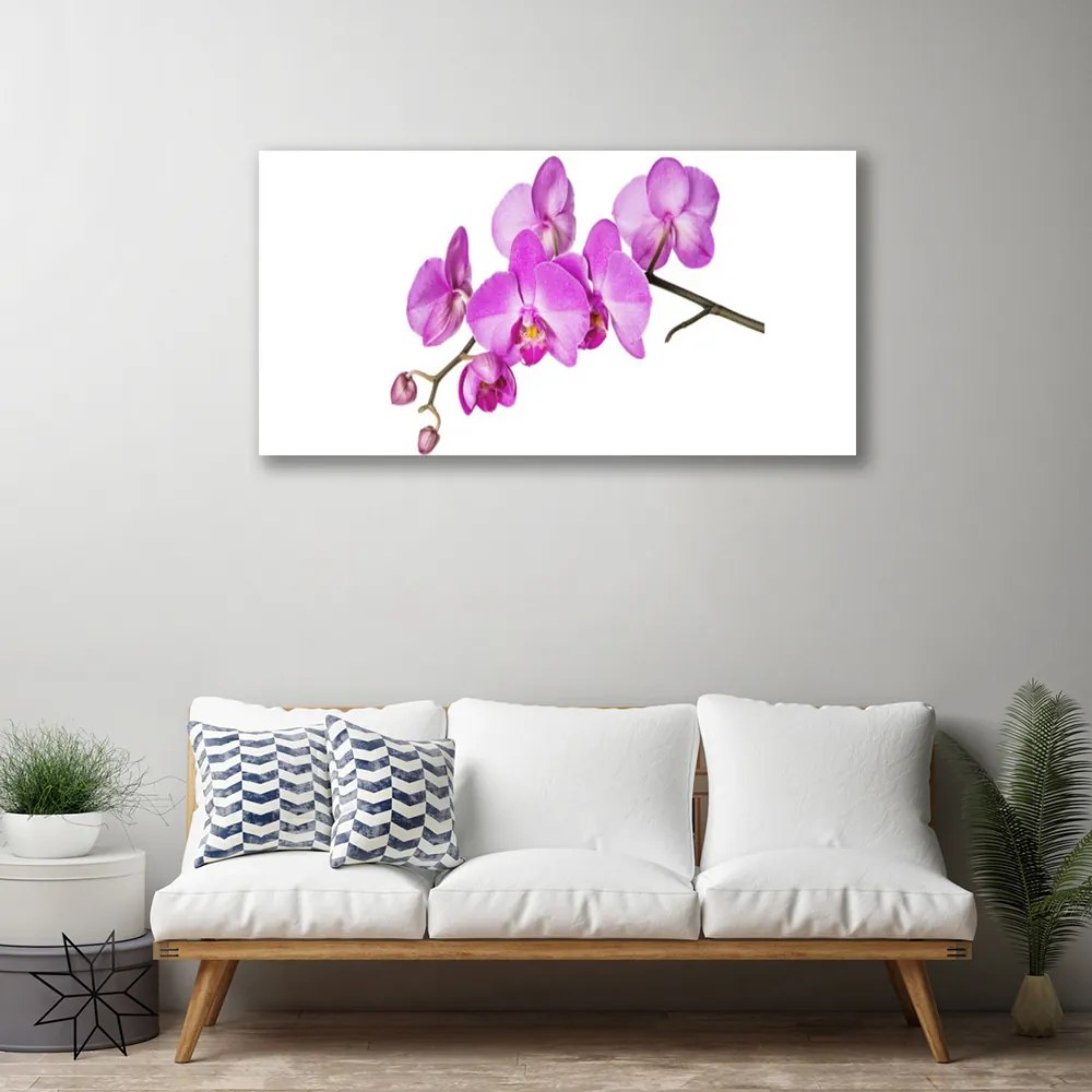 Obraz Canvas Storczyk Orchidea Kwiaty