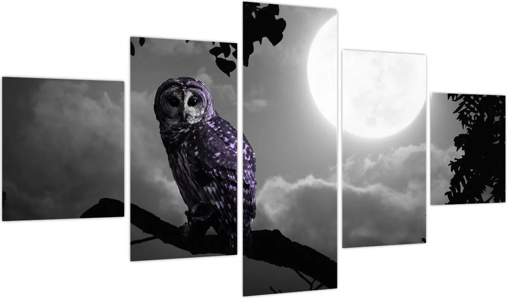 Obraz - Nocna sowa, fioletowa sowa (125x70 cm)