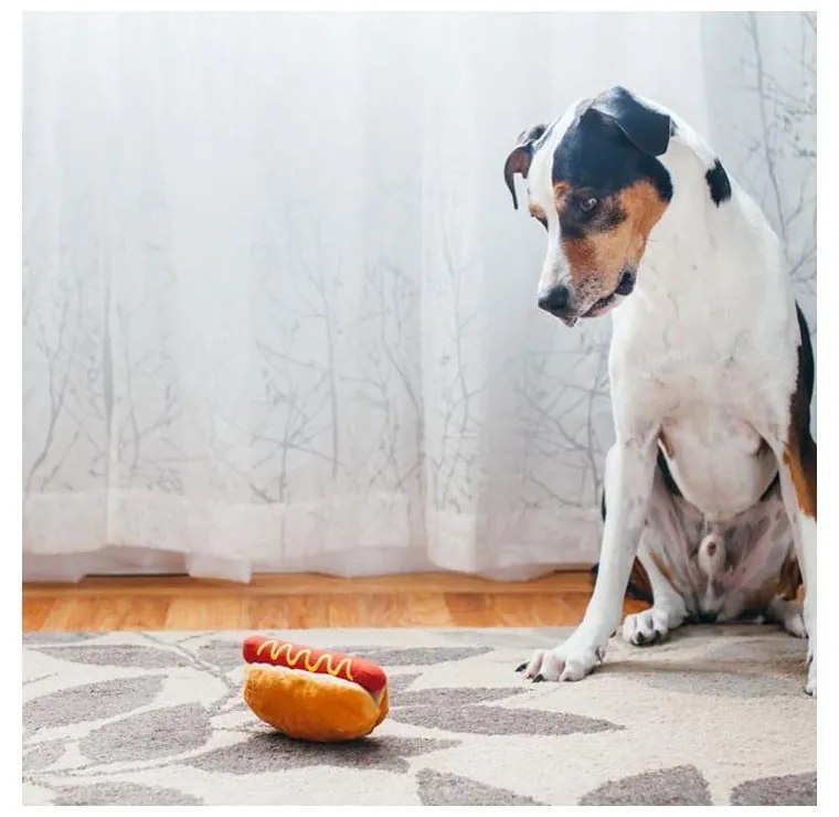 Zabawka dla psa Hot Dog – P.L.A.Y.