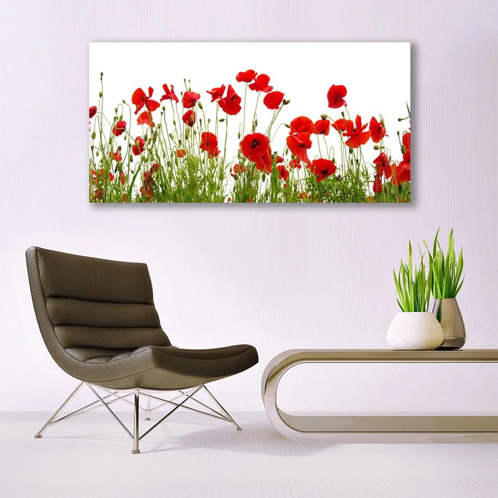 Obraz Canvas Maki Kwiaty Natura Roślina