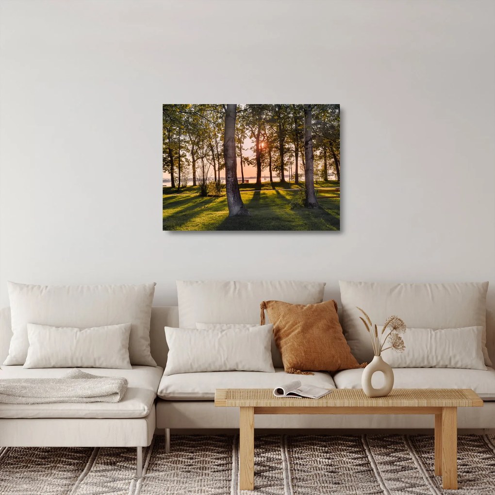 Obraz na szkle - drzewa nad jeziorem (70x50 cm)