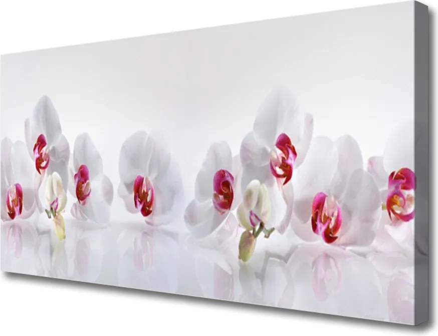 Obraz na płótnie Świeżość Kwiatów Polnych