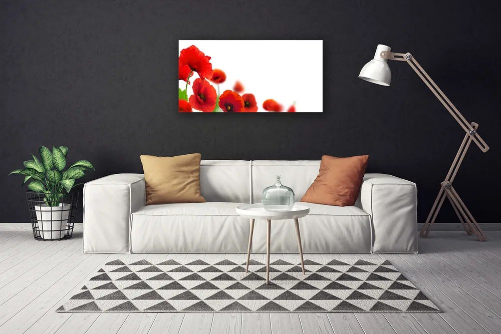 Zdjęcie na płótnie Czerwone Maki w Słońcu