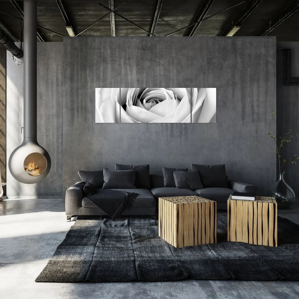 Obraz - Detal kwiatu róży (170x50 cm)