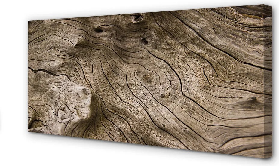 Fotoobraz na płótnie Rysunek Natury W Drewnie