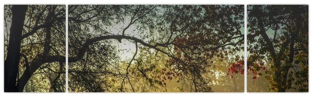 Obraz wschodu słońca (170x50 cm)