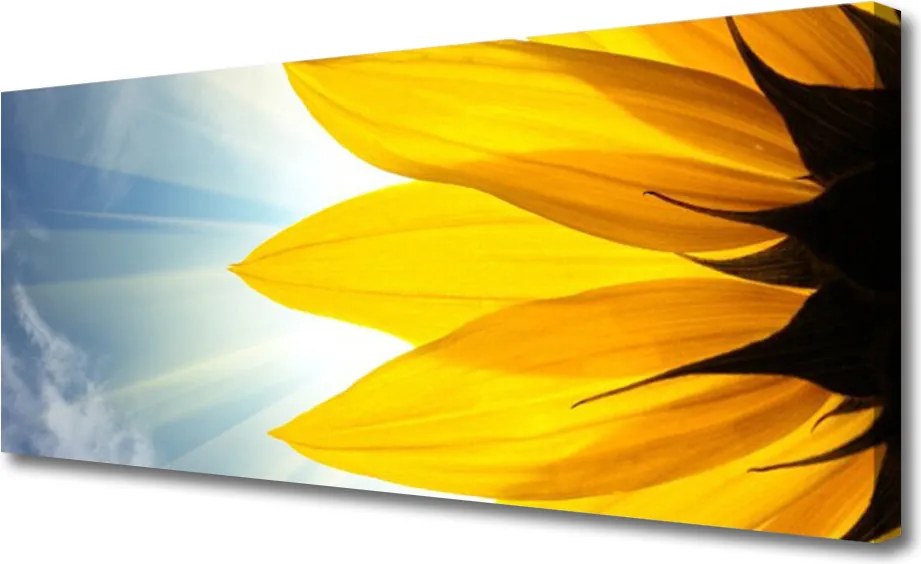 Obraz na płótnie Delikatne Płatki Kwiatowe