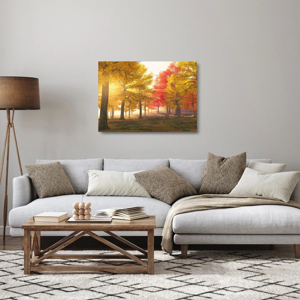 Obraz na szkle - jesienne drzewa (70x50 cm)