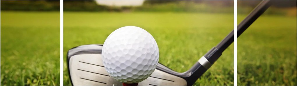 Obraz - Golf (170x50 cm)