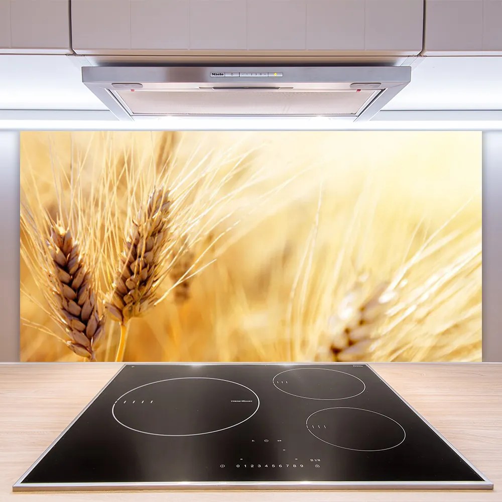 Panel Szklany Złociste Łany Pszenicy