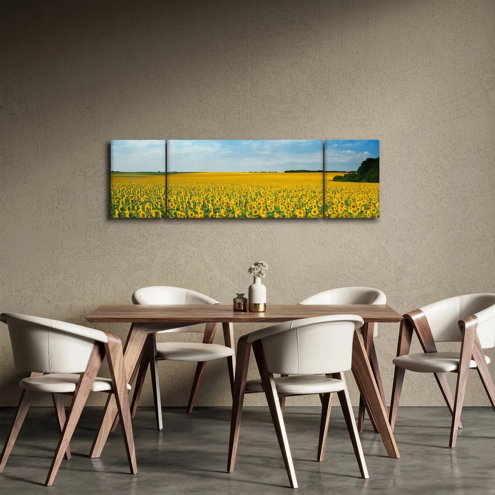 Obraz - ciąg słoneczników (170x50 cm)