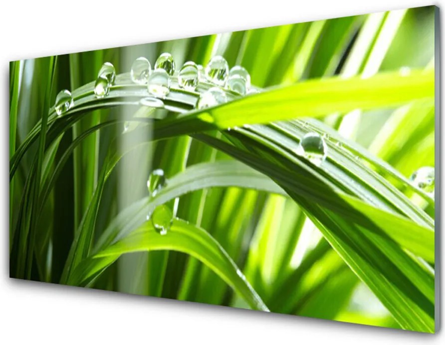 Panel nad blat kuchenny Perlista Rosa na Trawie