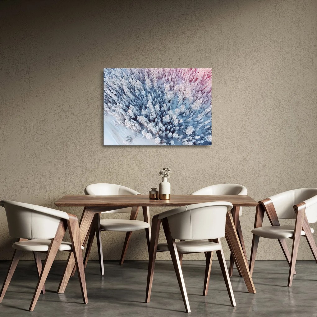 Obraz na szkle ośnieżonych drzew (70x50 cm)