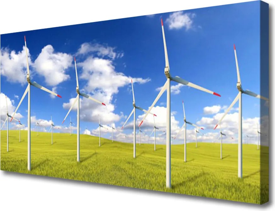 Obraz drukowany na płótnie Wiejska Chata w Polu