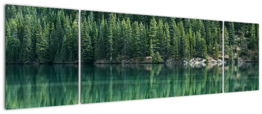 Obraz - drzewa iglaste nad jeziorem (170x50 cm)