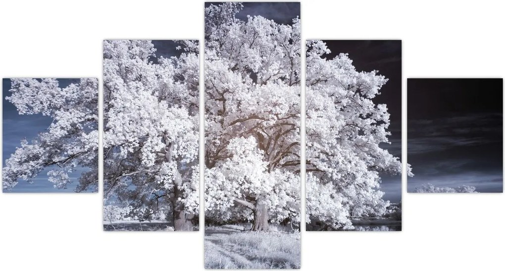 Obraz - Śnieżnobiałe drzewo (125x70 cm)