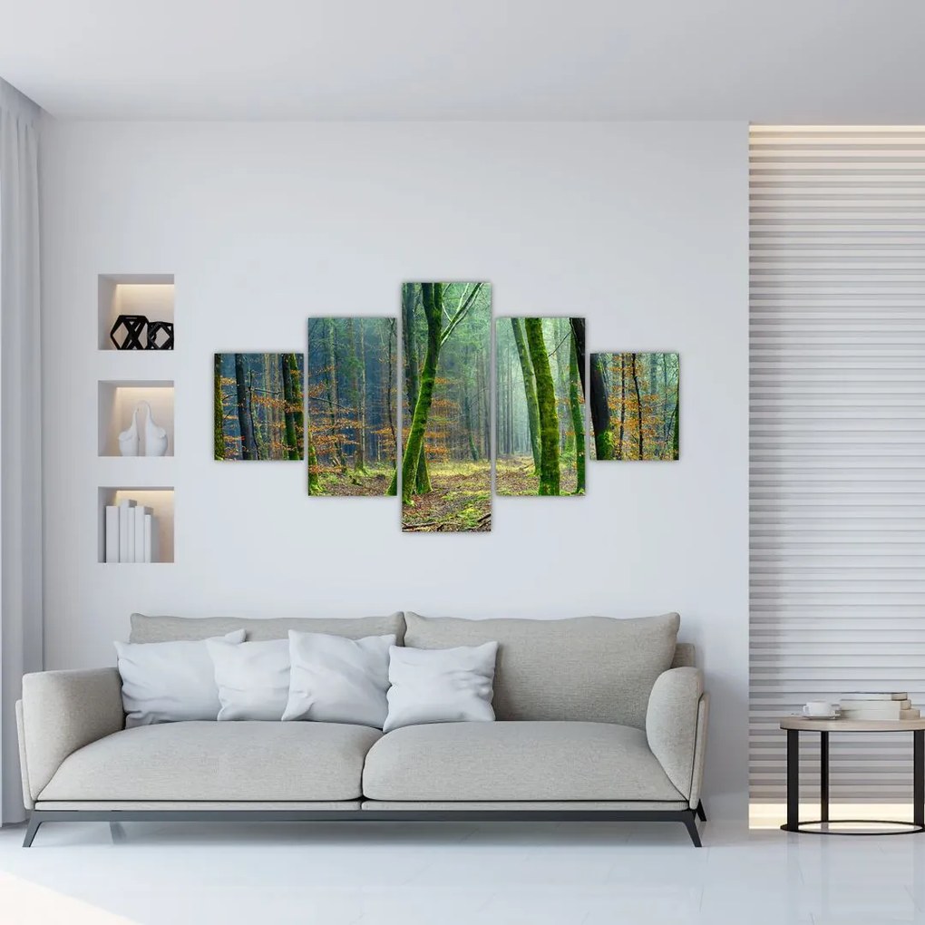 Obraz lasu (125x70 cm)