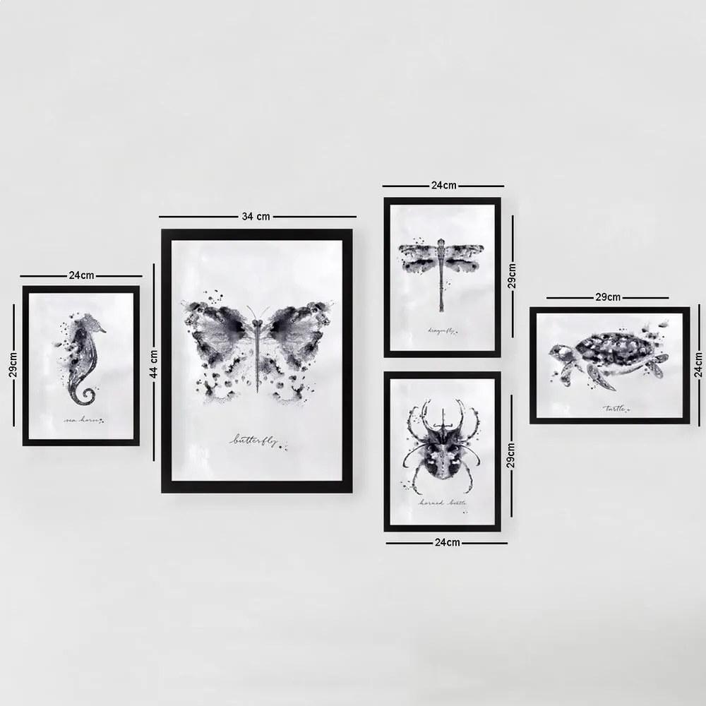 Obrazy zestaw 5 szt. Butterfly – Wallity