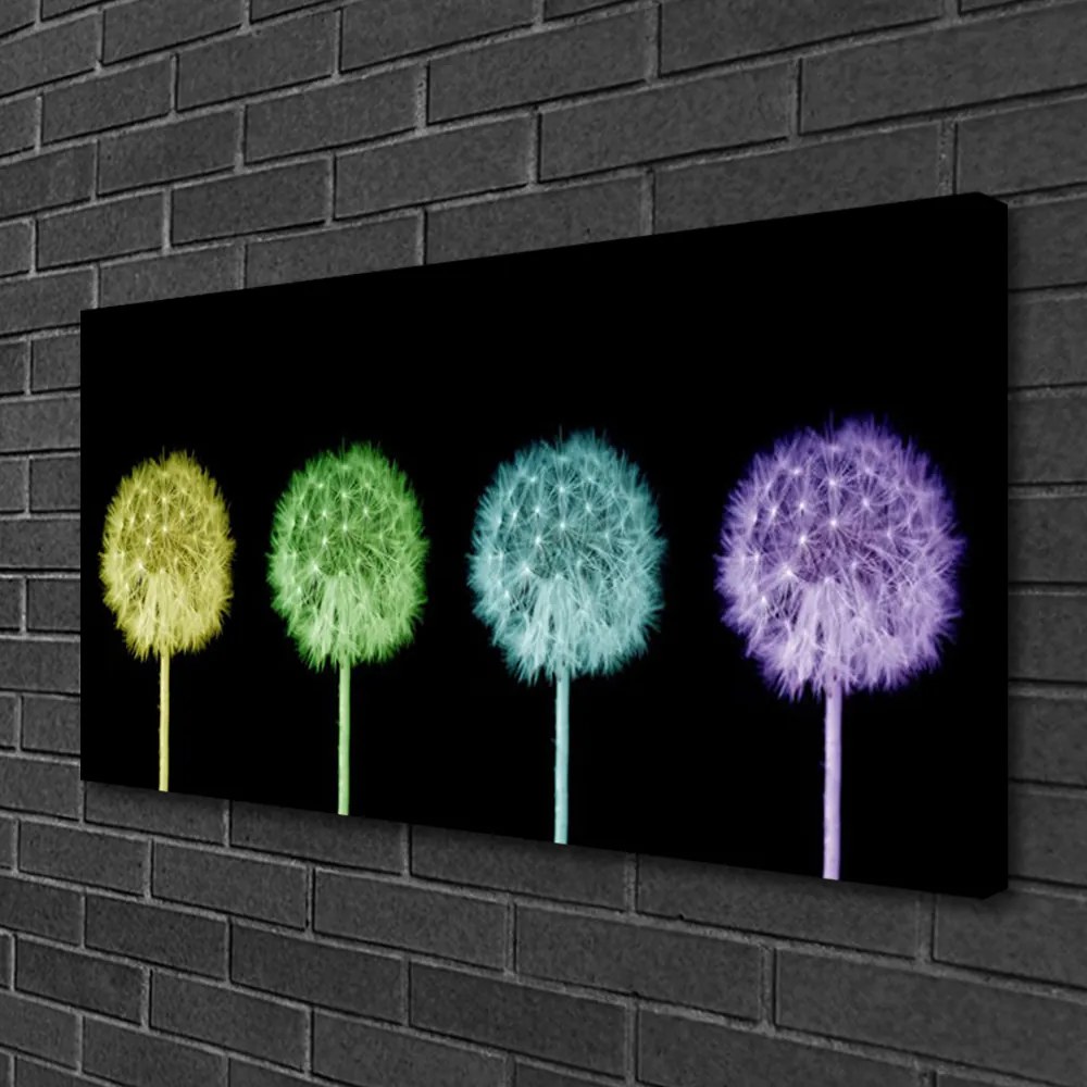 Obraz na płótnie Puszysta Kula Mniszka