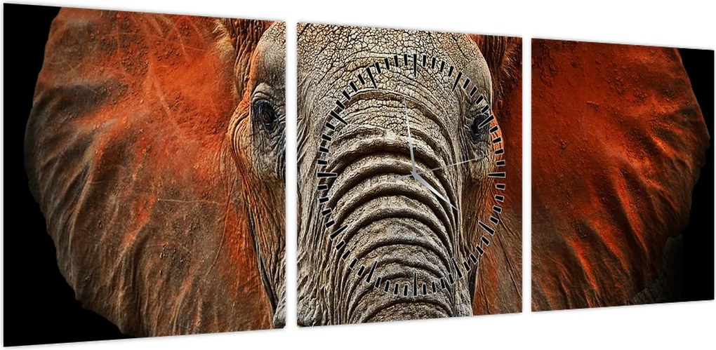 Obraz - Słonie z Tsavo (z zegarem) (90x30 cm)