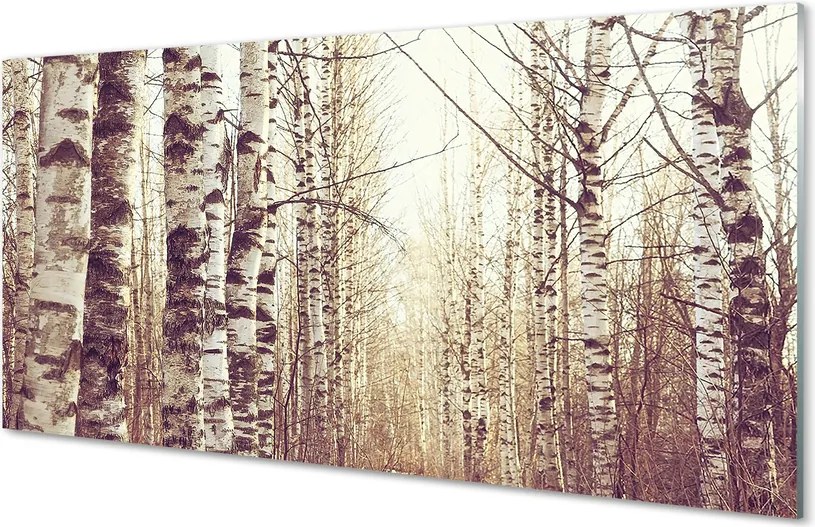 Szklany Panel Korony Drzew