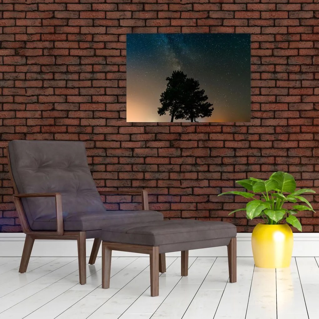 Obraz na szkle - nocne niebo z drzewami (70x50 cm)