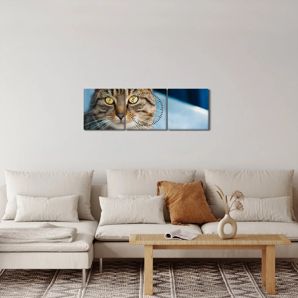 Obraz - Kot domowy (z zegarem) (90x30 cm)