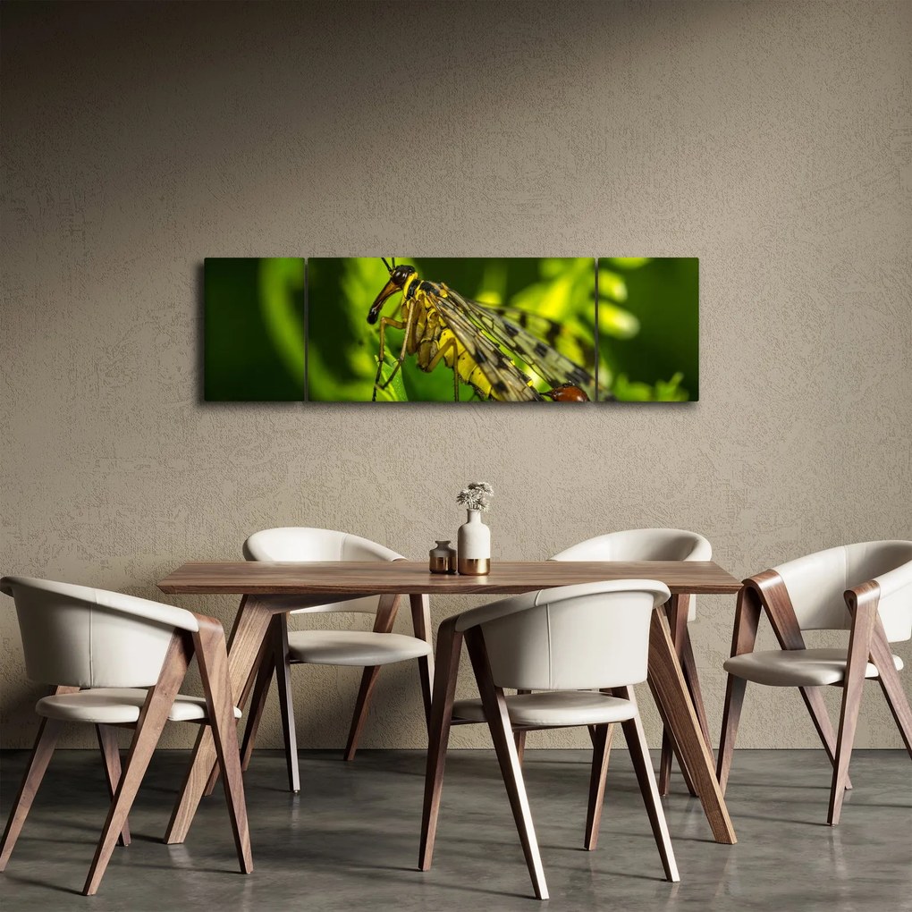 Obraz owada (170x50 cm)