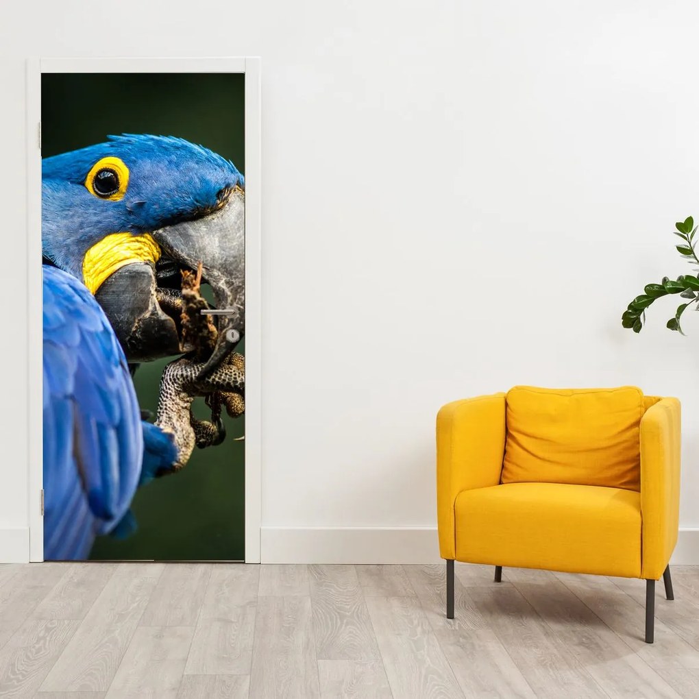 Fototapeta na drzwi - Papuga (95x205cm)