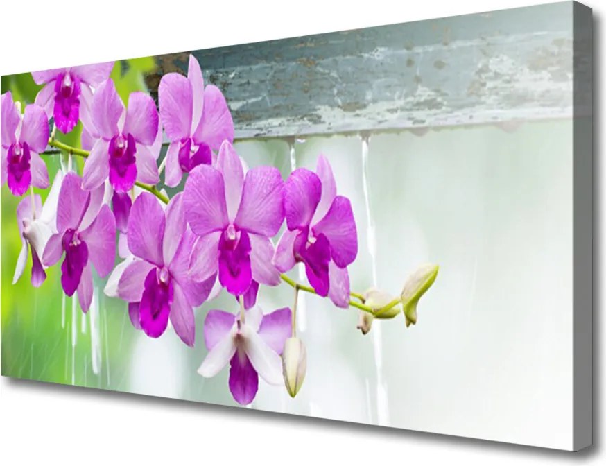 Obraz drukowany na płótnie Ulotne Nasiona Dmuchawca