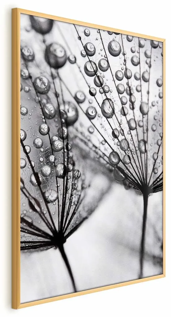 Plakat Rosa 21x30 cm z ramą złotą bez marginesu ARTGEIST B