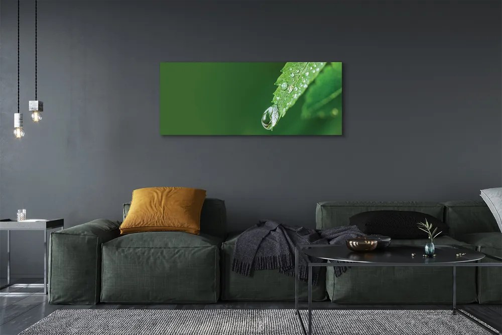 Duży obraz na płótnie Liść i Kropla Wody