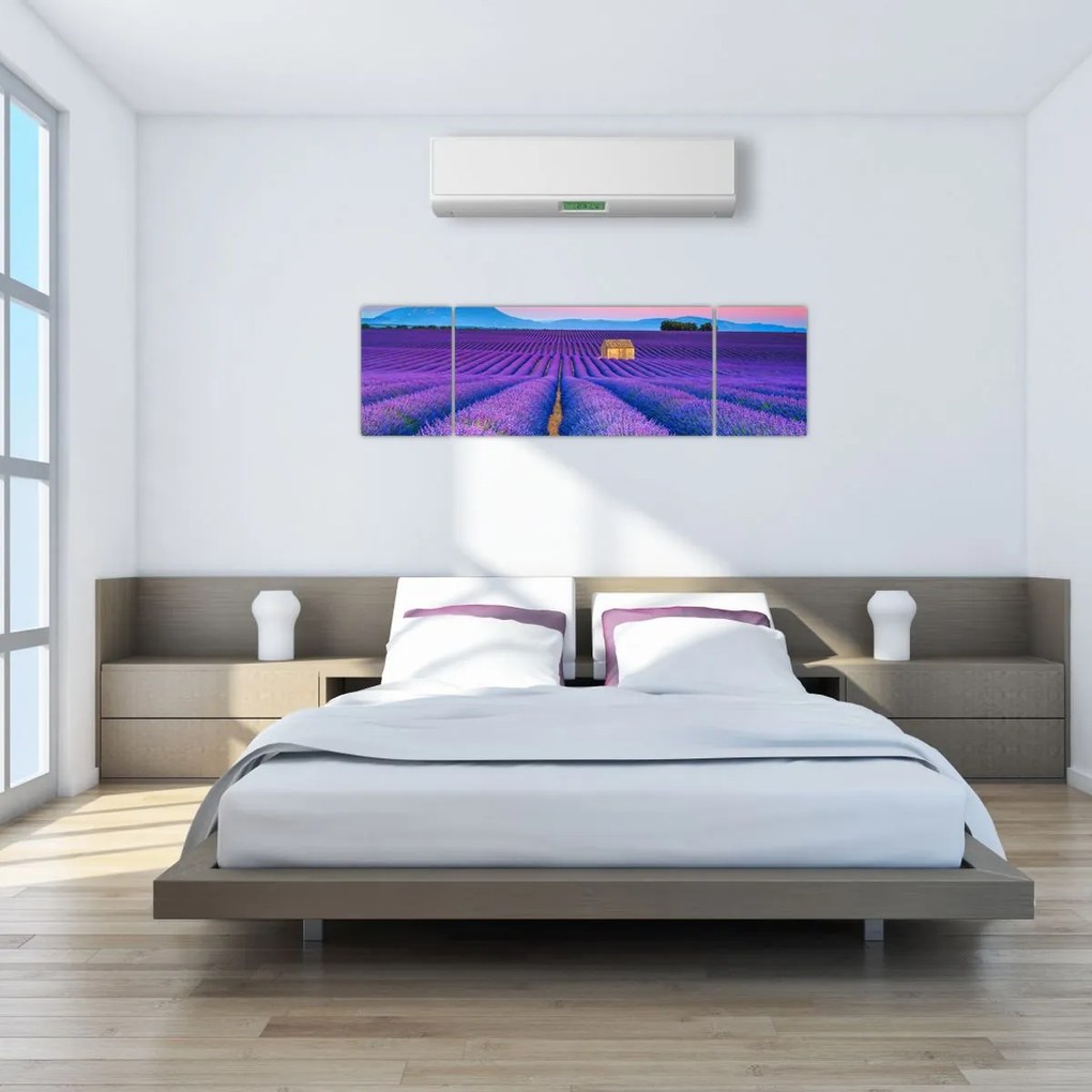 Obraz - Lewndowe pole (170x50 cm)