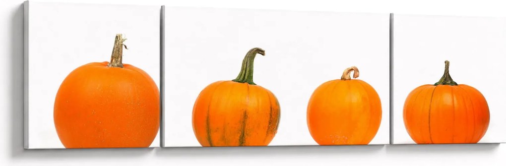 Obraz dyni (170x50 cm)