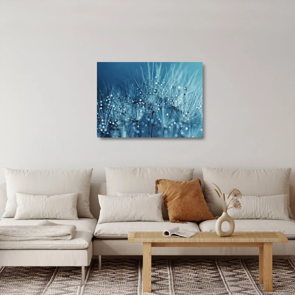 Obraz na szkle - Krople rosy (70x50 cm)