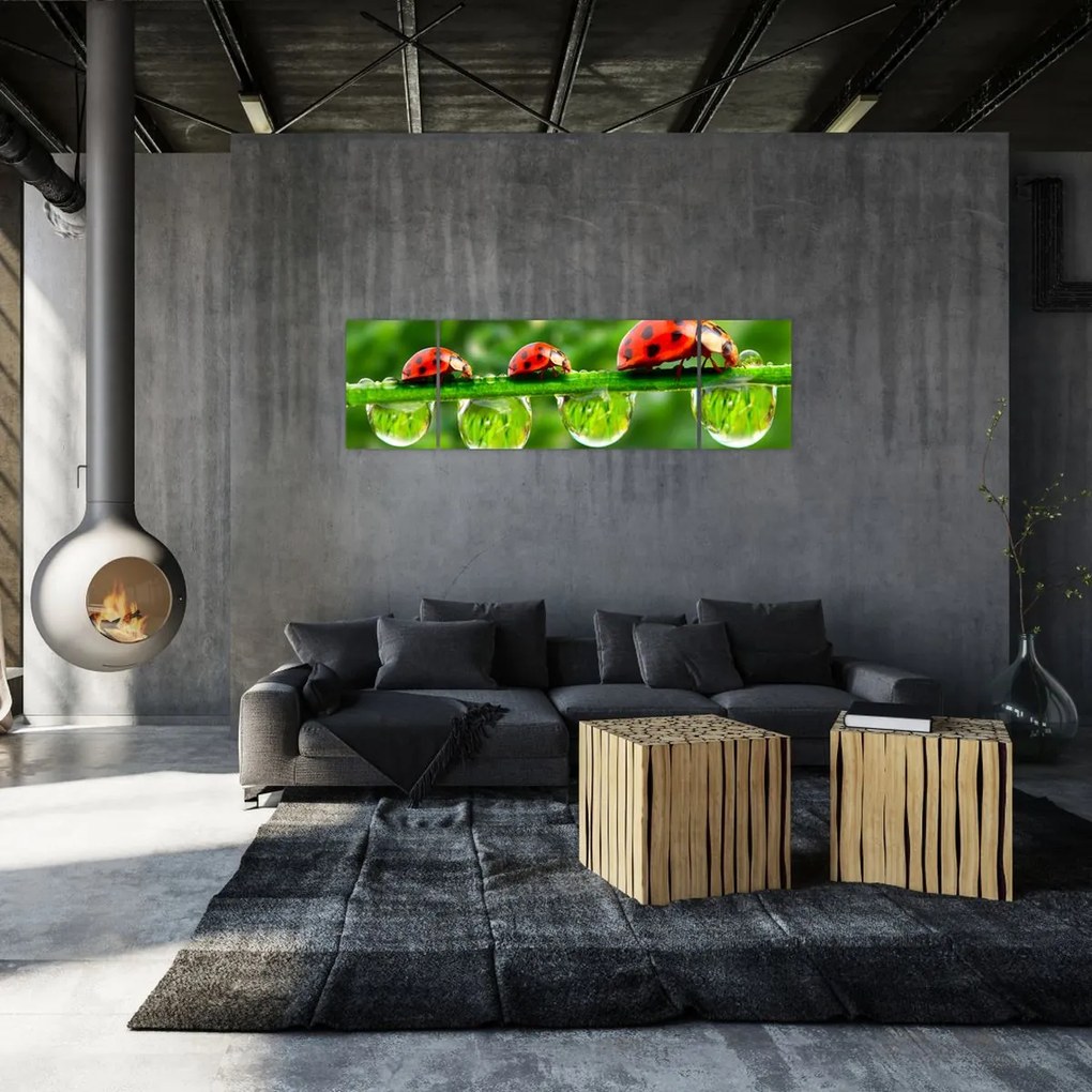 Obraz - Sunshine of the Seven Suns (170x50 cm)