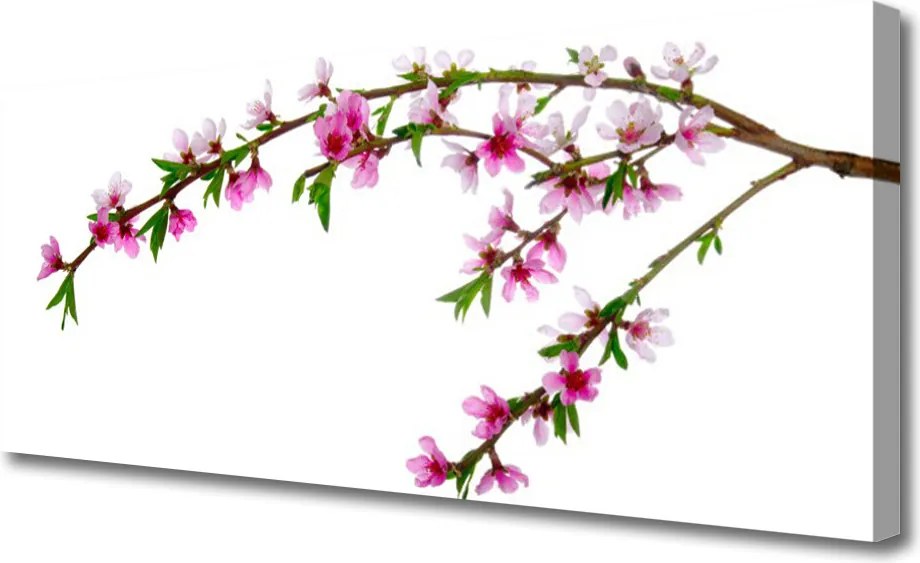 Obraz na płótnie Kwitnąca Gałązka Jabłoni