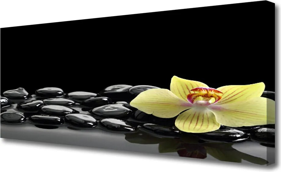 Obraz drukowany na płótnie Modernistyczny Akcent Kuchenny