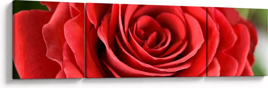 Obraz kwiatu róży (170x50 cm)