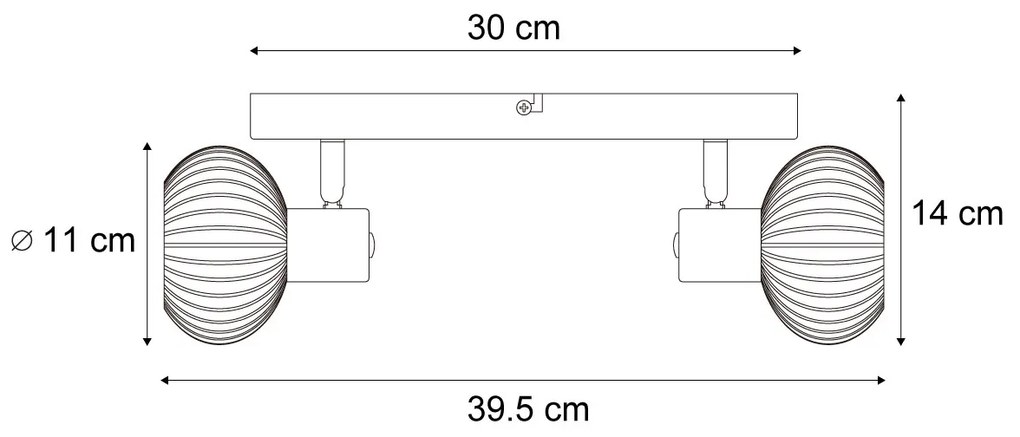 Okrągły reflektor sufitowy czarny z dymionym szkłem, 2-punktowy - Teddy