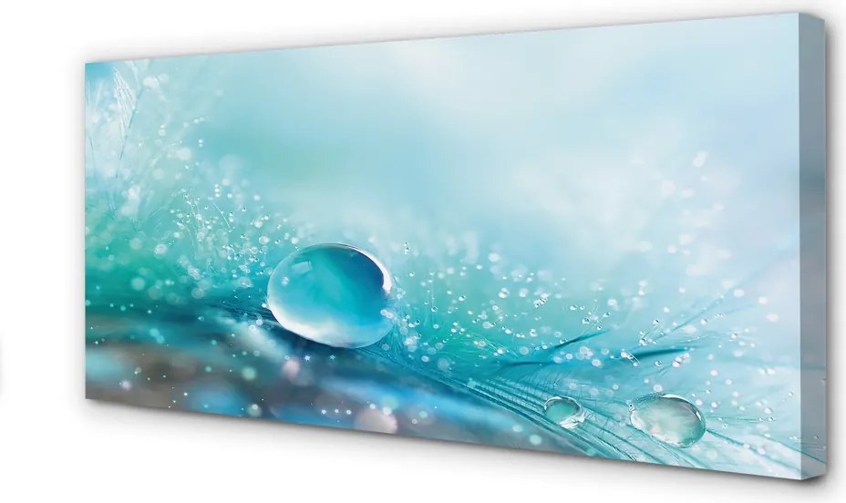 Obraz drukowany na płótnie Abstrakcyjna Kropla Makro
