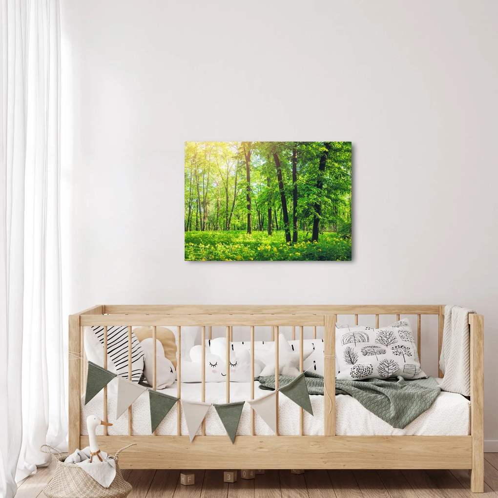 Obraz - Wiosenny las liściasty (70x50 cm)